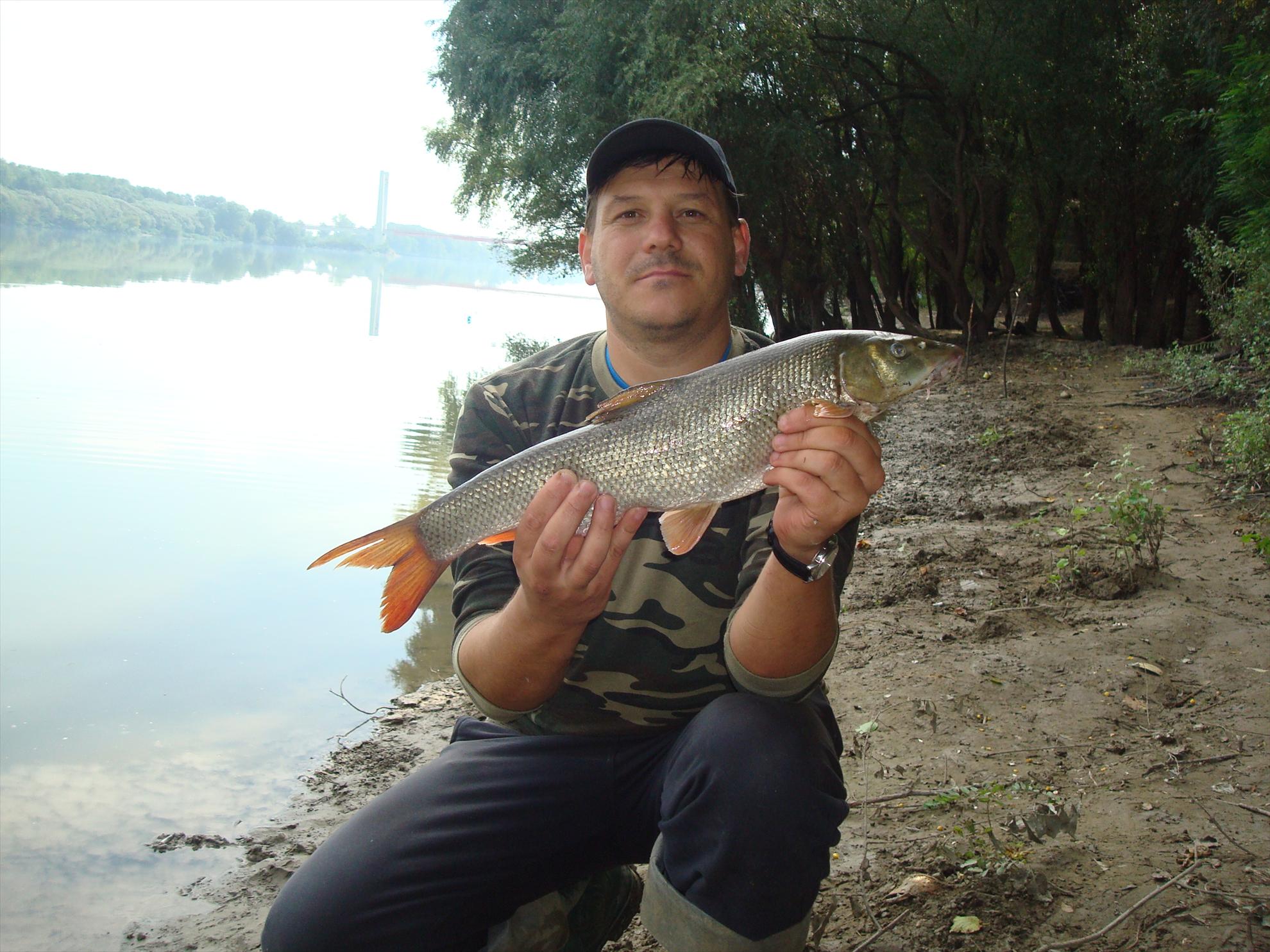 pescuit la Dunare - dsc067061.JPG